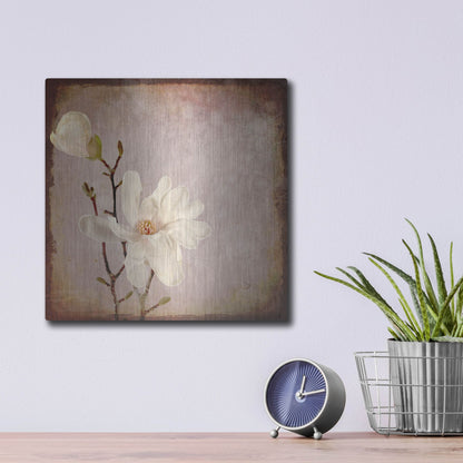 Luxe Metal Art 'Paper Magnolia Duo' by Lightbox Journal, Metal Wall Art,12x12