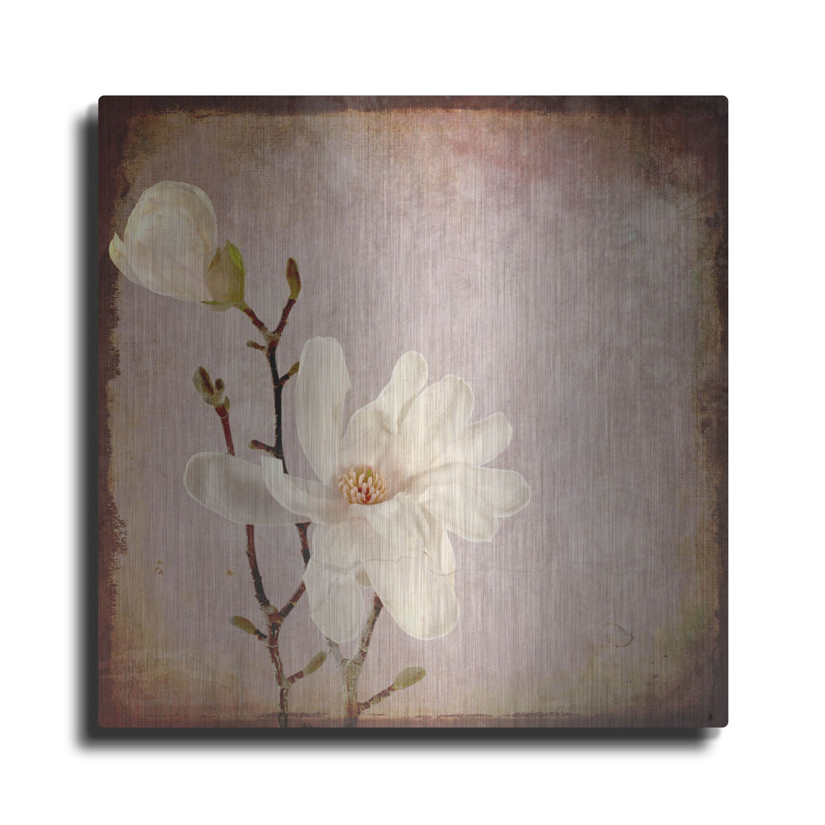 Luxe Metal Art 'Paper Magnolia Duo' by Lightbox Journal, Metal Wall Art