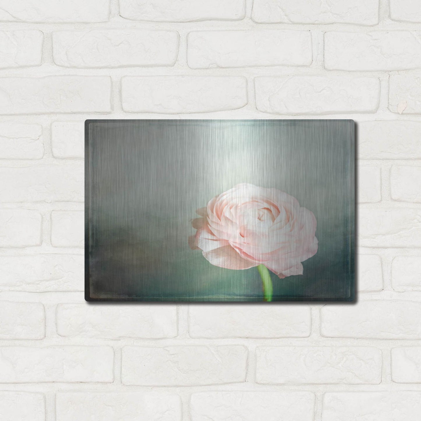 Luxe Metal Art 'Peony 03' by Lightbox Journal, Metal Wall Art,16x12