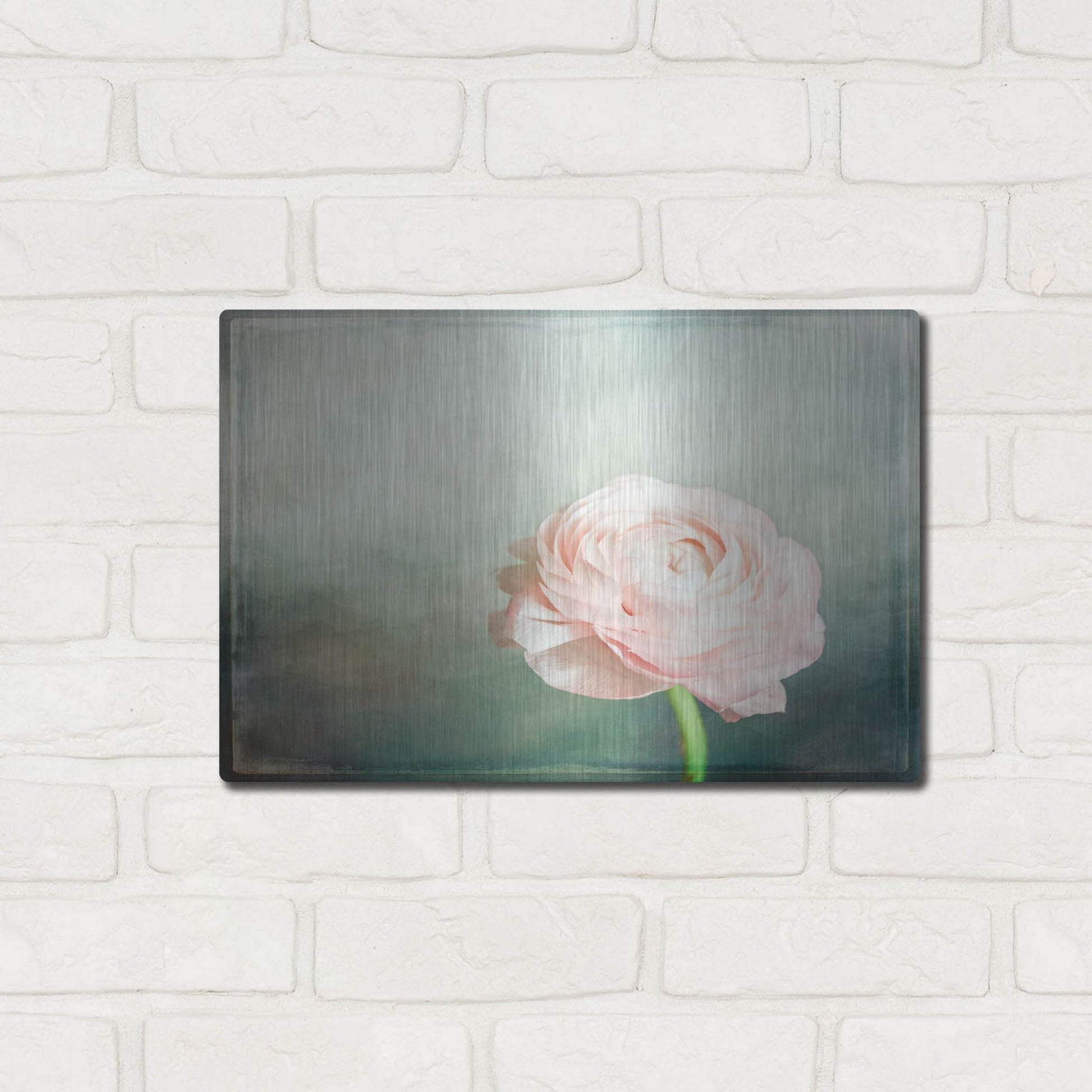 Luxe Metal Art 'Peony 03' by Lightbox Journal, Metal Wall Art,16x12