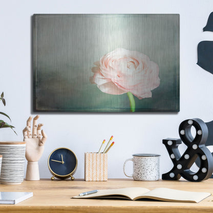 Luxe Metal Art 'Peony 03' by Lightbox Journal, Metal Wall Art,16x12