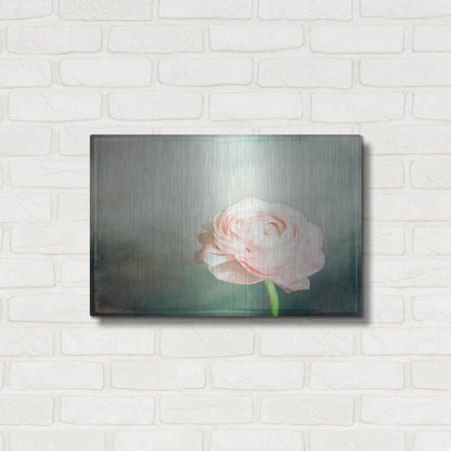 Luxe Metal Art 'Peony 03' by Lightbox Journal, Metal Wall Art,24x16