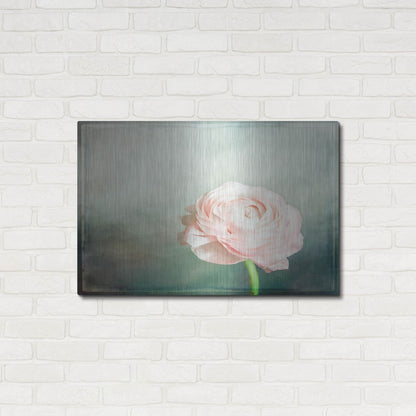 Luxe Metal Art 'Peony 03' by Lightbox Journal, Metal Wall Art,36x24