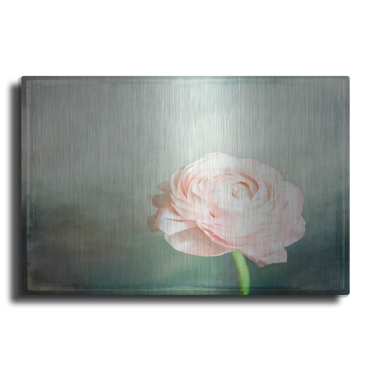 Luxe Metal Art 'Peony 03' by Lightbox Journal, Metal Wall Art