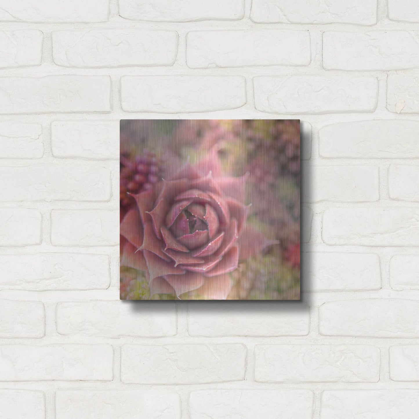 Luxe Metal Art 'Succulents 02' by Lightbox Journal, Metal Wall Art,12x12