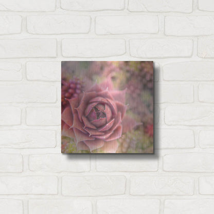 Luxe Metal Art 'Succulents 02' by Lightbox Journal, Metal Wall Art,12x12