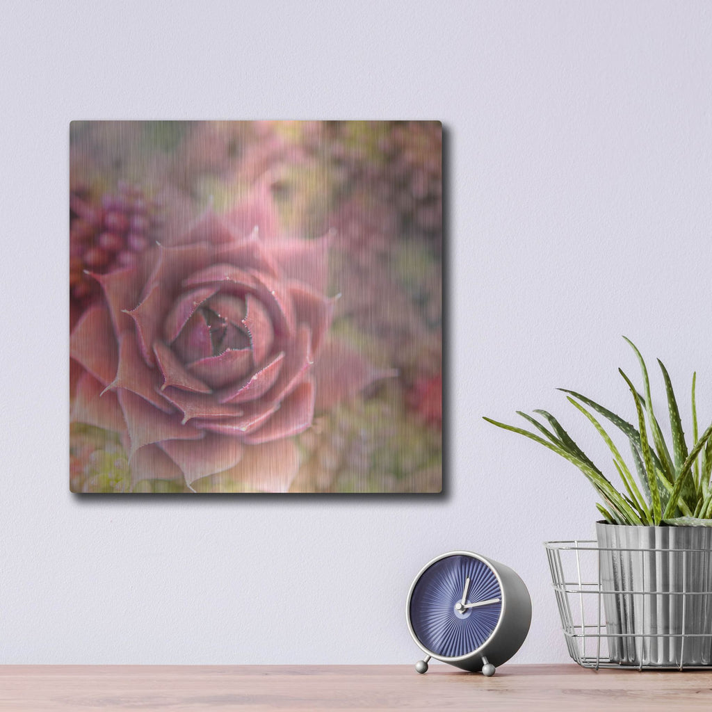 Luxe Metal Art 'Succulents 02' by Lightbox Journal, Metal Wall Art,12x12