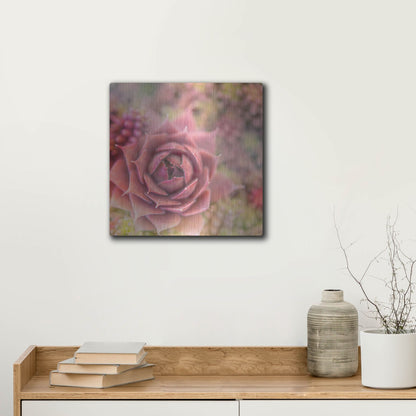 Luxe Metal Art 'Succulents 02' by Lightbox Journal, Metal Wall Art,12x12