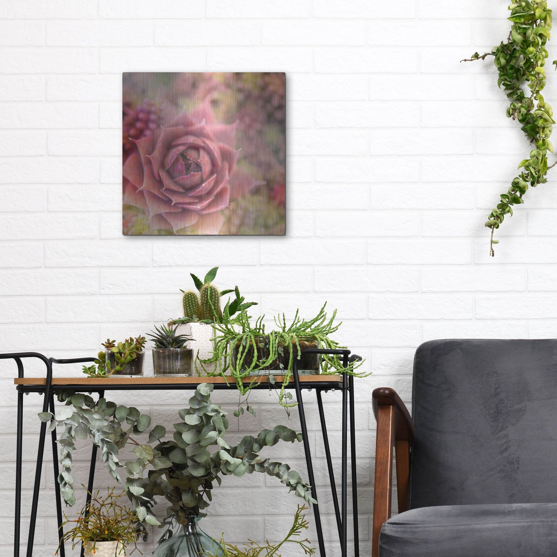 Luxe Metal Art 'Succulents 02' by Lightbox Journal, Metal Wall Art,12x12