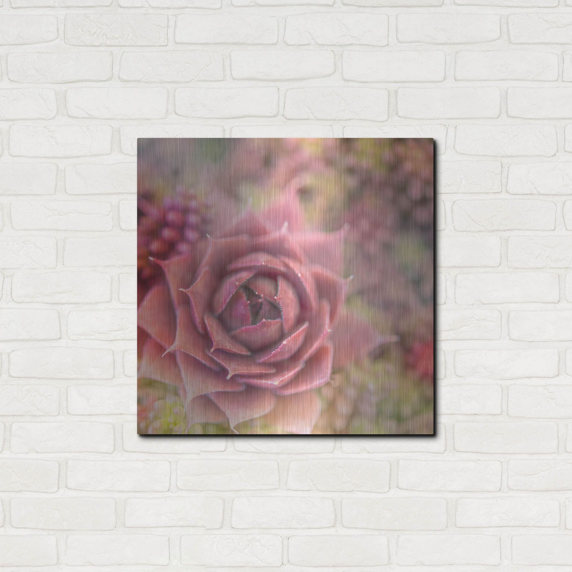 Luxe Metal Art 'Succulents 02' by Lightbox Journal, Metal Wall Art,24x24