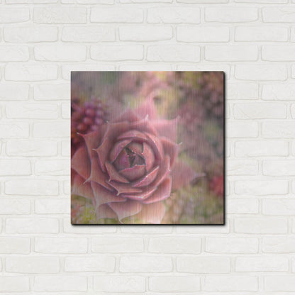 Luxe Metal Art 'Succulents 02' by Lightbox Journal, Metal Wall Art,24x24