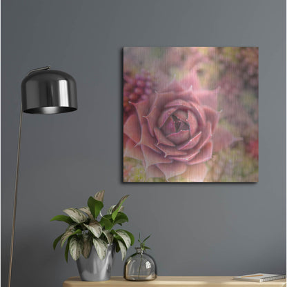 Luxe Metal Art 'Succulents 02' by Lightbox Journal, Metal Wall Art,24x24