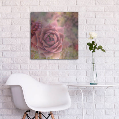 Luxe Metal Art 'Succulents 02' by Lightbox Journal, Metal Wall Art,24x24