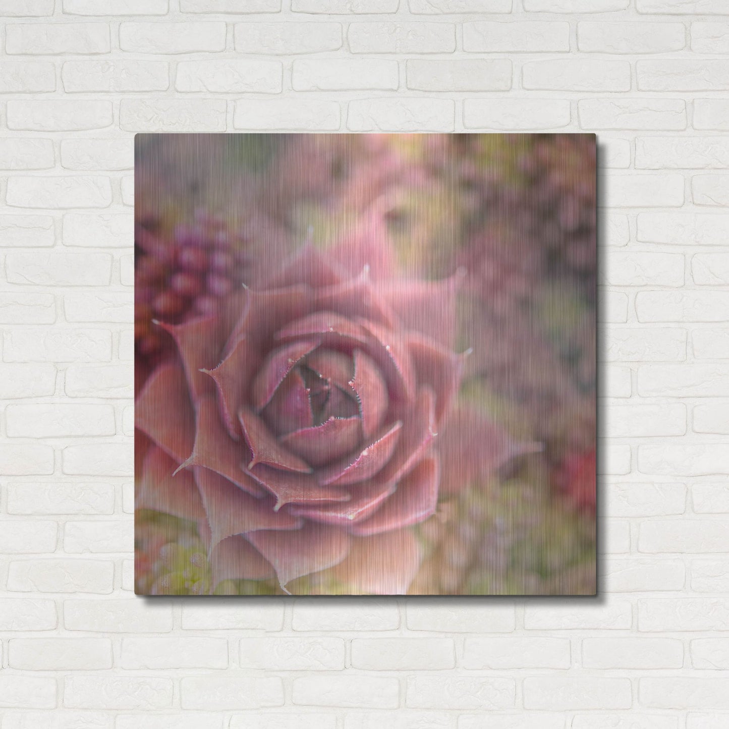 Luxe Metal Art 'Succulents 02' by Lightbox Journal, Metal Wall Art,36x36