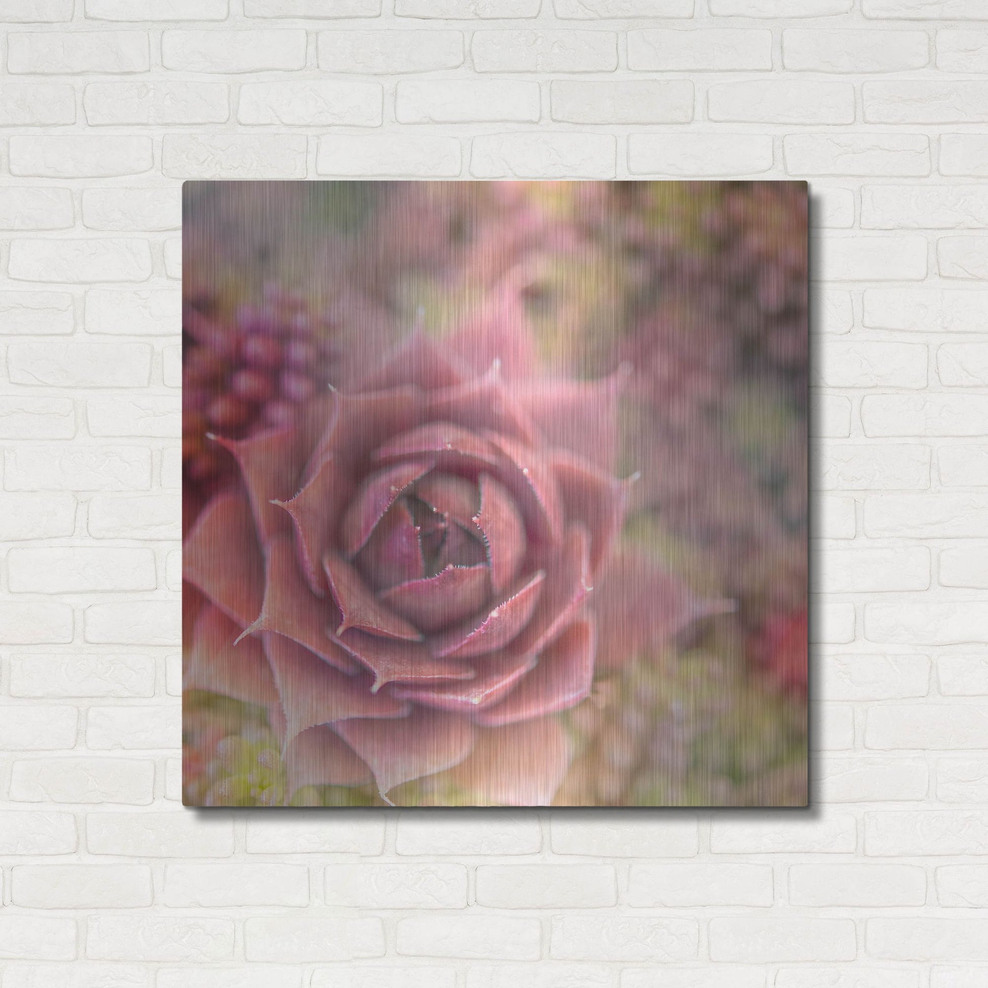 Luxe Metal Art 'Succulents 02' by Lightbox Journal, Metal Wall Art,36x36