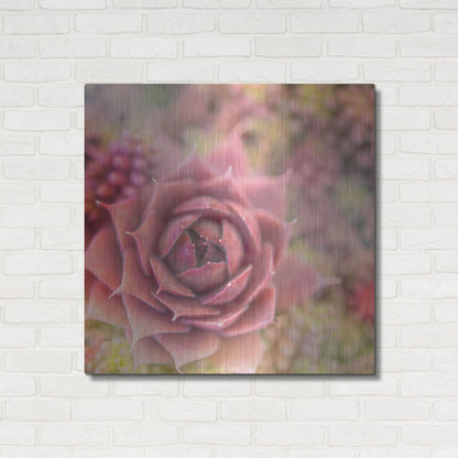 Luxe Metal Art 'Succulents 02' by Lightbox Journal, Metal Wall Art,36x36