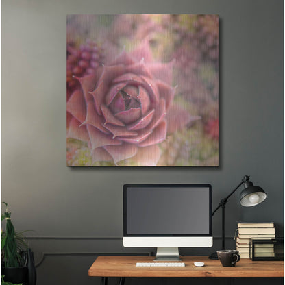 Luxe Metal Art 'Succulents 02' by Lightbox Journal, Metal Wall Art,36x36