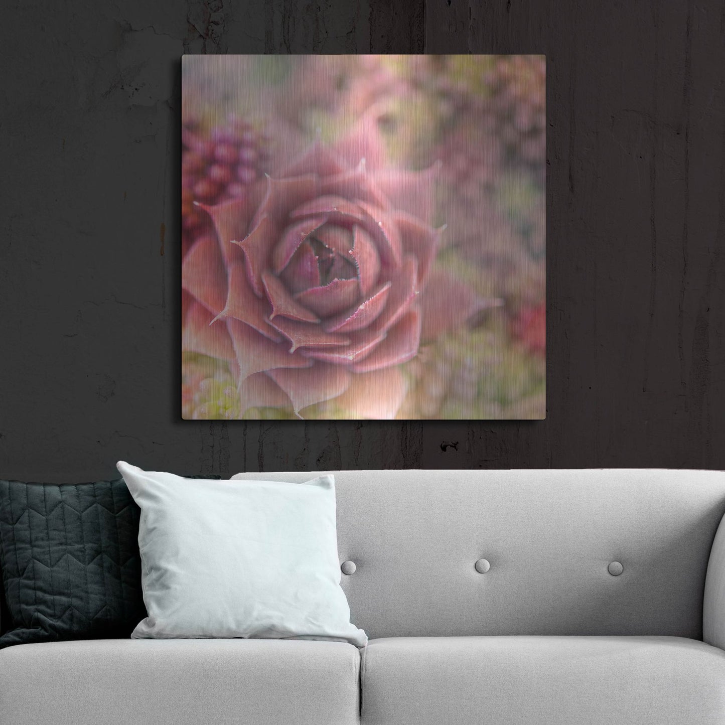 Luxe Metal Art 'Succulents 02' by Lightbox Journal, Metal Wall Art,36x36