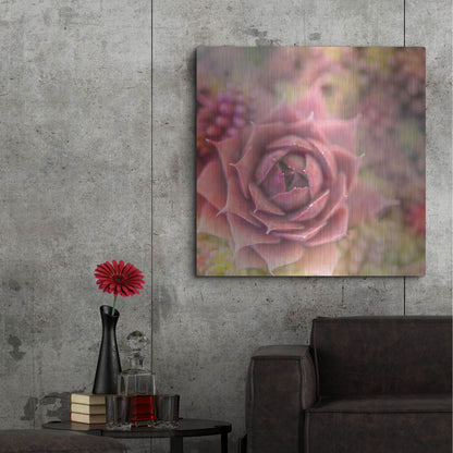 Luxe Metal Art 'Succulents 02' by Lightbox Journal, Metal Wall Art,36x36