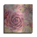 Luxe Metal Art 'Succulents 02' by Lightbox Journal, Metal Wall Art