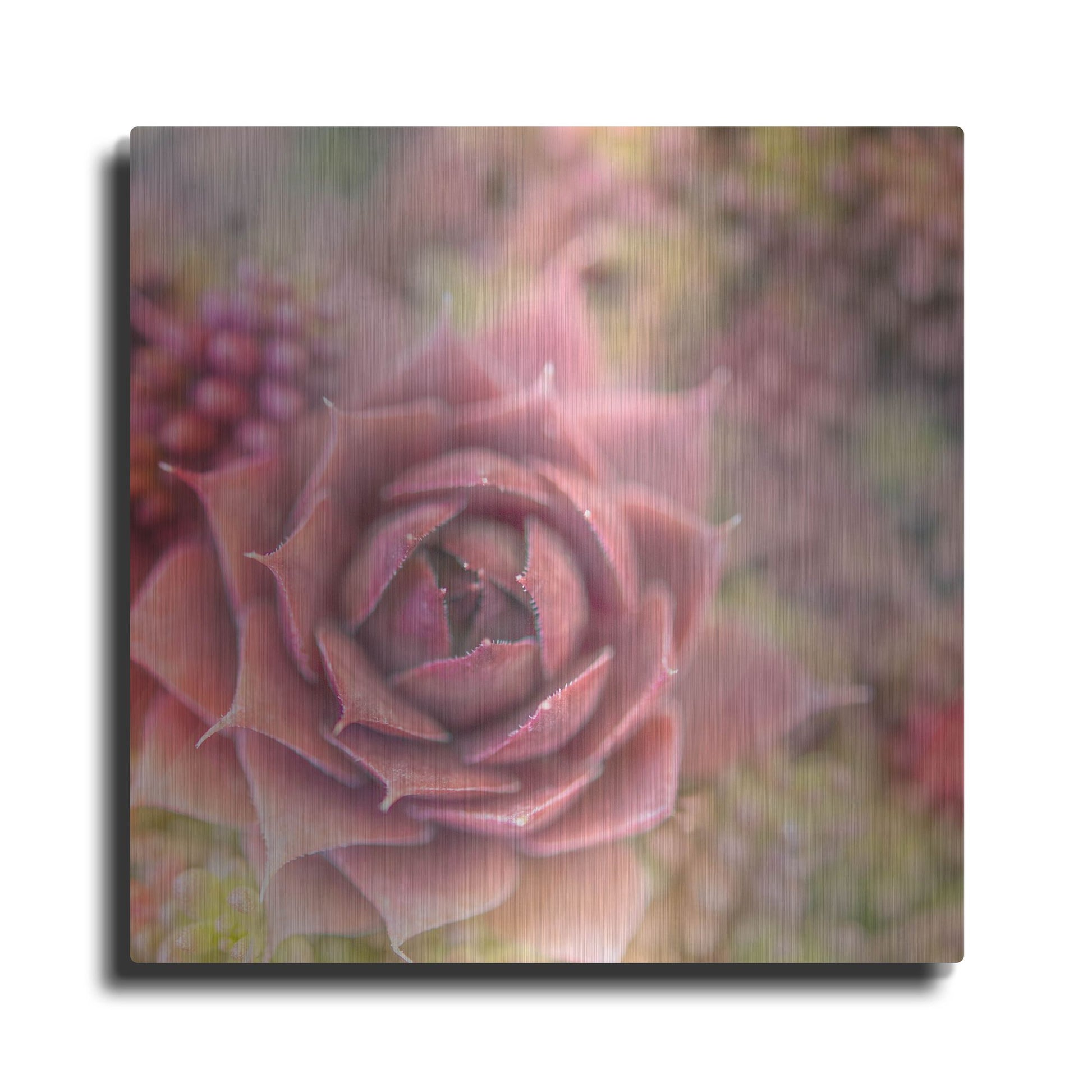 Luxe Metal Art 'Succulents 02' by Lightbox Journal, Metal Wall Art