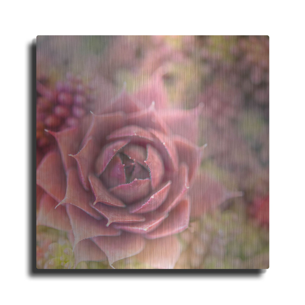 Luxe Metal Art 'Succulents 02' by Lightbox Journal, Metal Wall Art