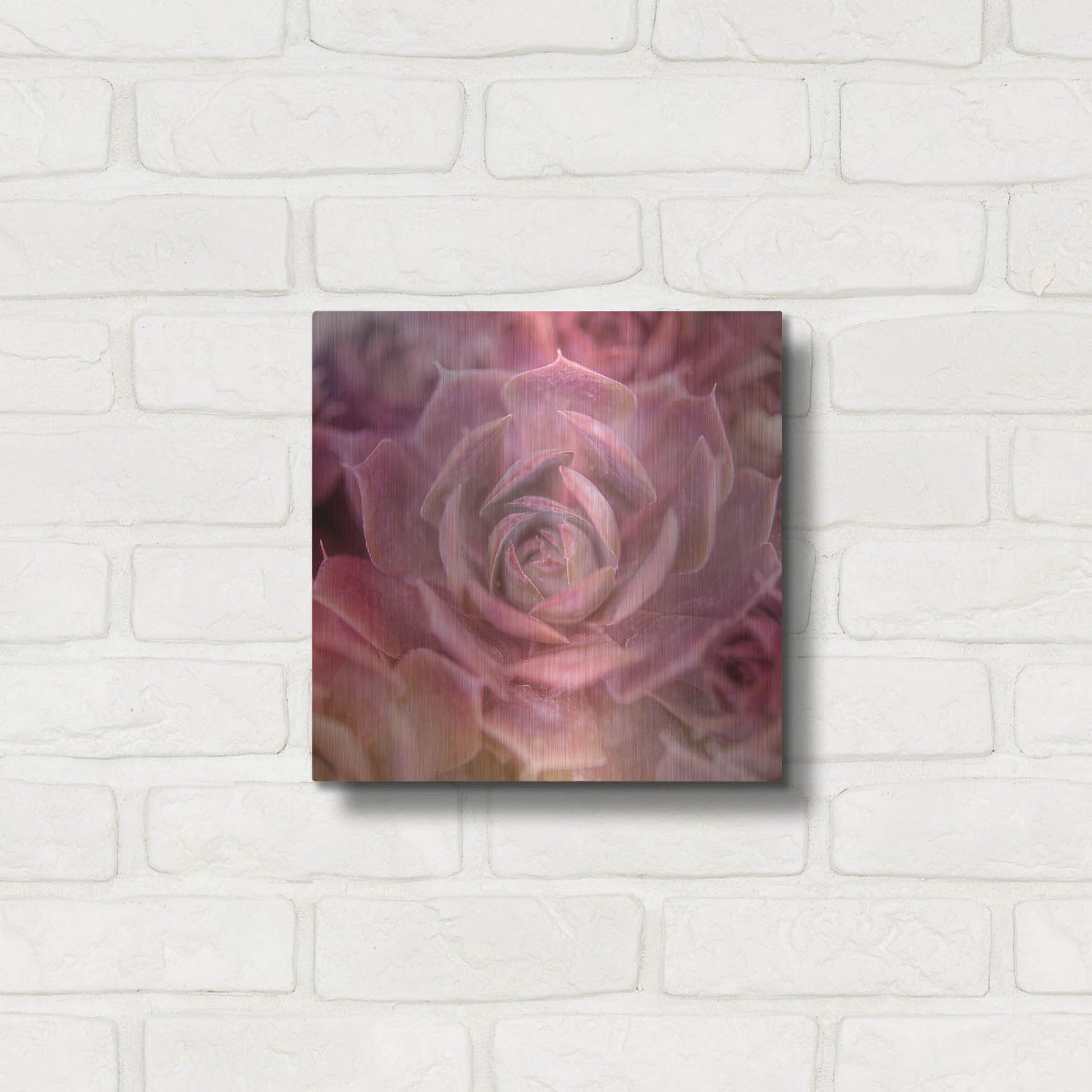 Luxe Metal Art 'Succulents 04' by Lightbox Journal, Metal Wall Art,12x12