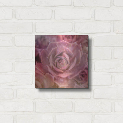 Luxe Metal Art 'Succulents 04' by Lightbox Journal, Metal Wall Art,12x12