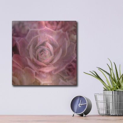 Luxe Metal Art 'Succulents 04' by Lightbox Journal, Metal Wall Art,12x12