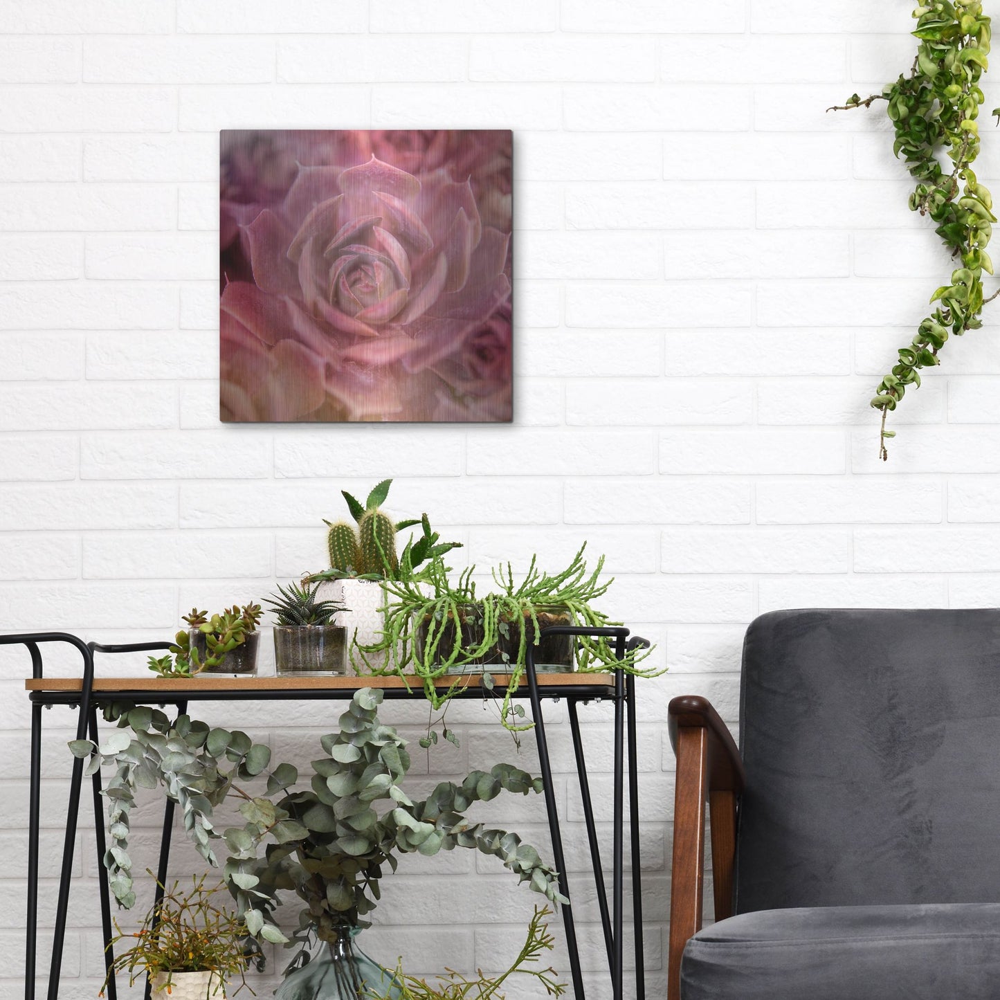 Luxe Metal Art 'Succulents 04' by Lightbox Journal, Metal Wall Art,12x12