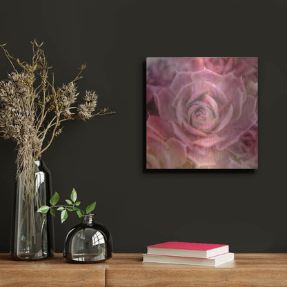 Luxe Metal Art 'Succulents 04' by Lightbox Journal, Metal Wall Art,12x12