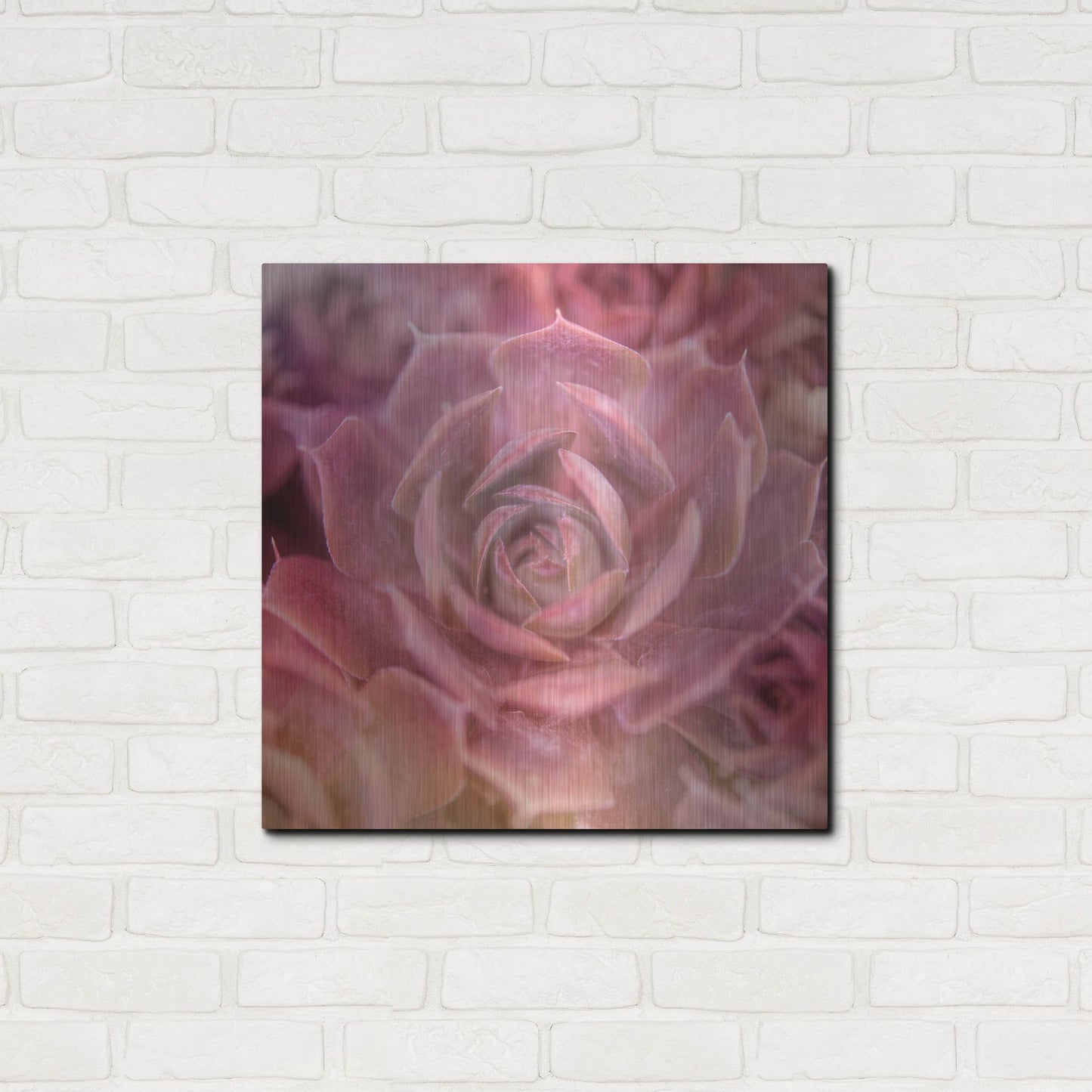 Luxe Metal Art 'Succulents 04' by Lightbox Journal, Metal Wall Art,24x24