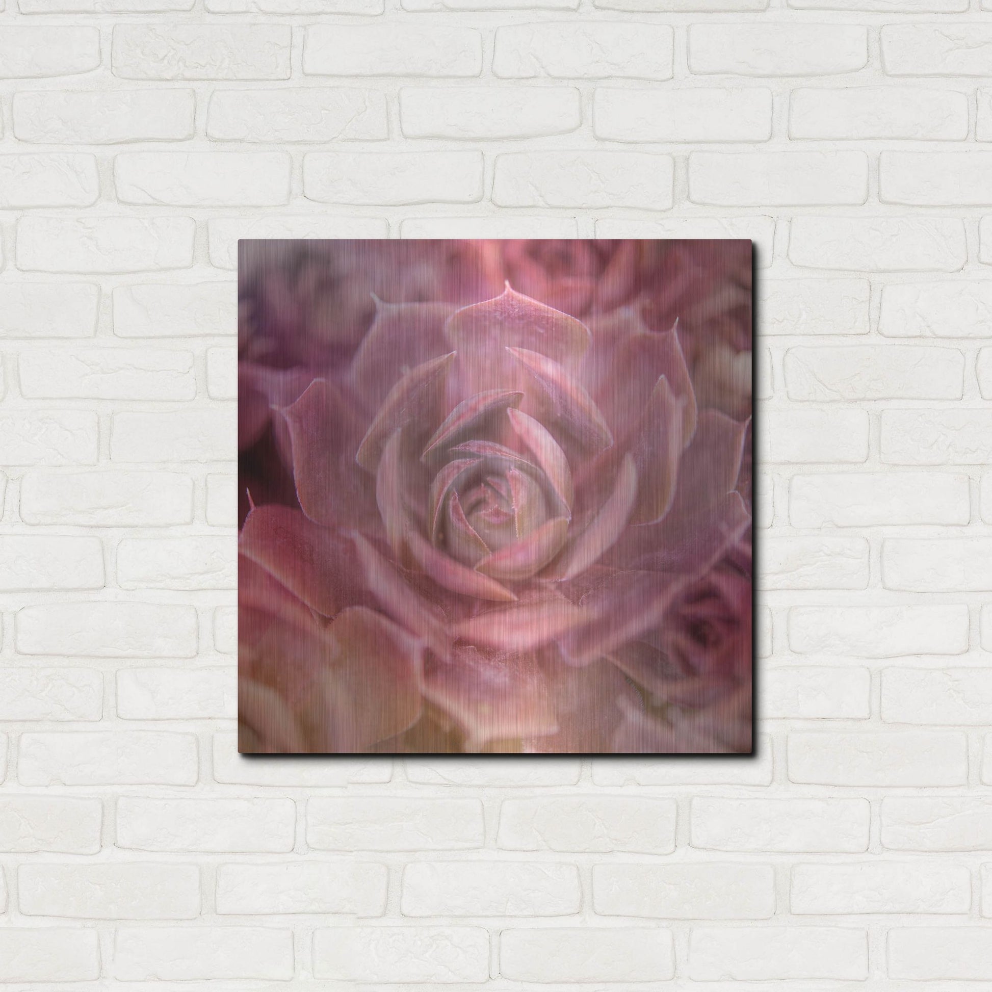 Luxe Metal Art 'Succulents 04' by Lightbox Journal, Metal Wall Art,24x24