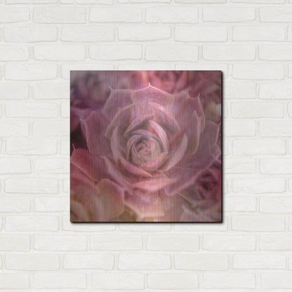 Luxe Metal Art 'Succulents 04' by Lightbox Journal, Metal Wall Art,24x24