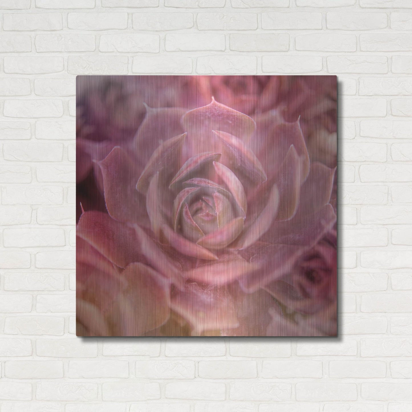 Luxe Metal Art 'Succulents 04' by Lightbox Journal, Metal Wall Art,36x36