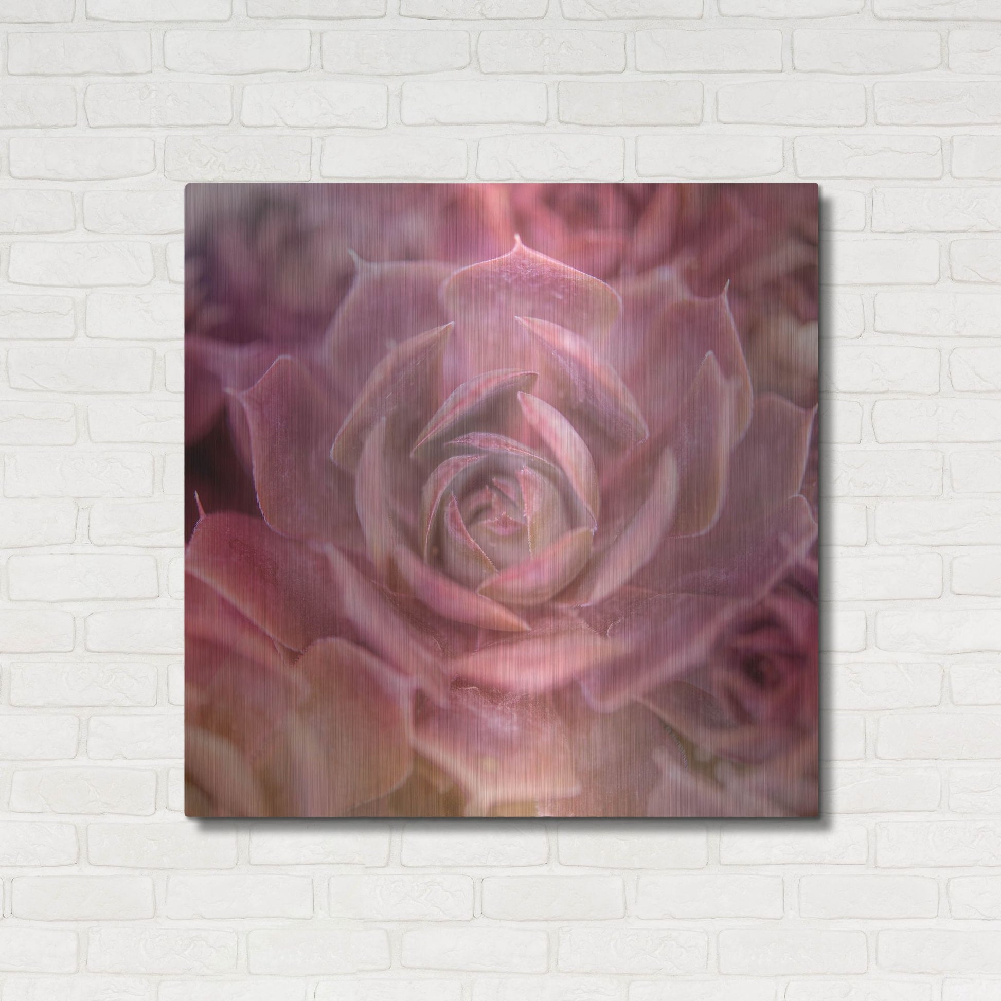 Luxe Metal Art 'Succulents 04' by Lightbox Journal, Metal Wall Art,36x36