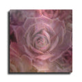 Luxe Metal Art 'Succulents 04' by Lightbox Journal, Metal Wall Art