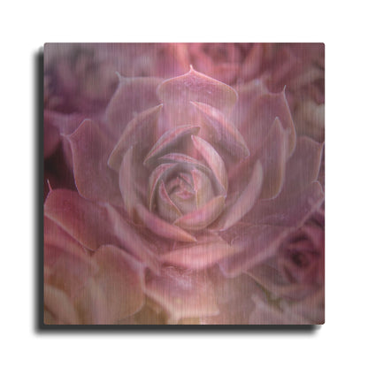 Luxe Metal Art 'Succulents 04' by Lightbox Journal, Metal Wall Art