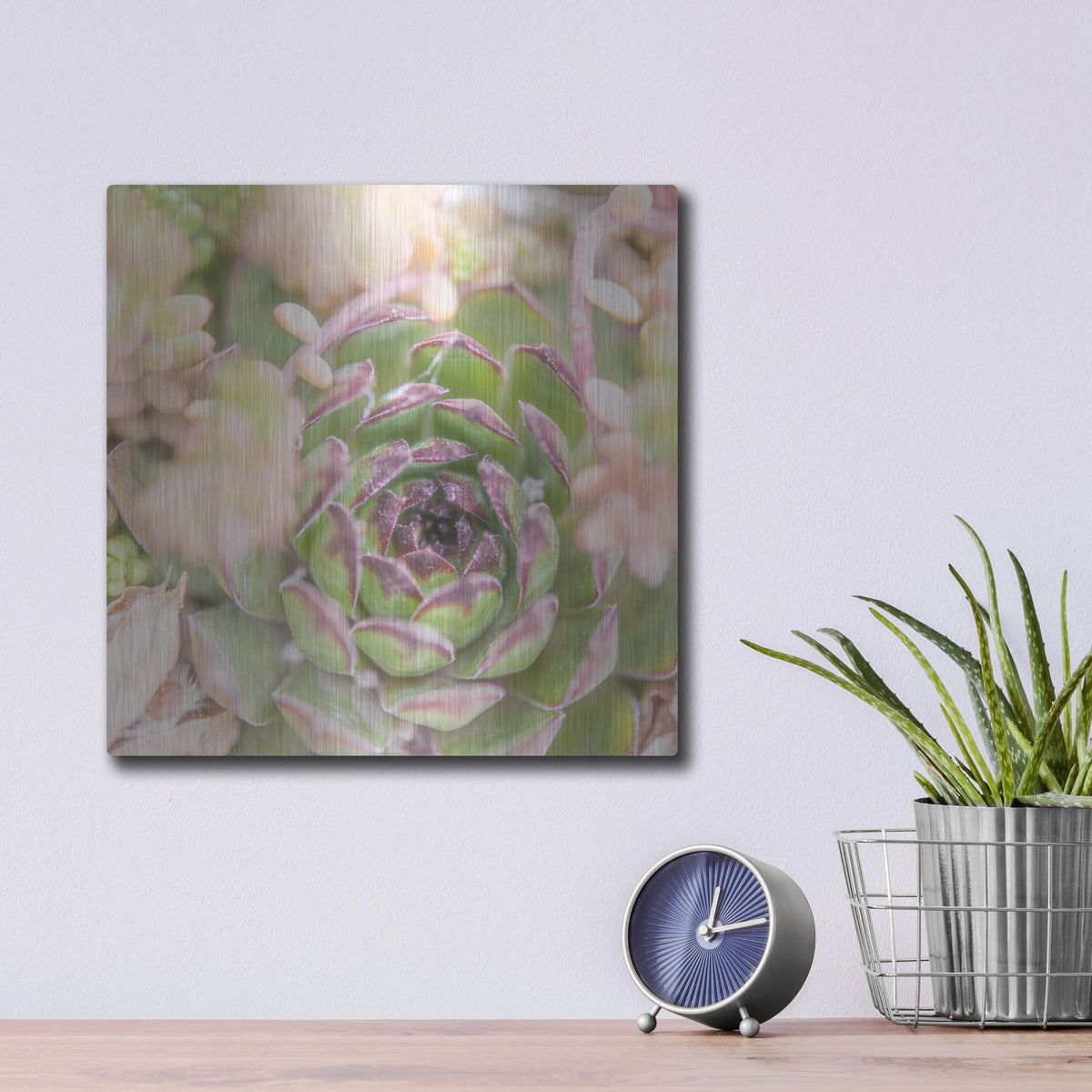 Luxe Metal Art 'Succulents 08' by Lightbox Journal, Metal Wall Art,12x12