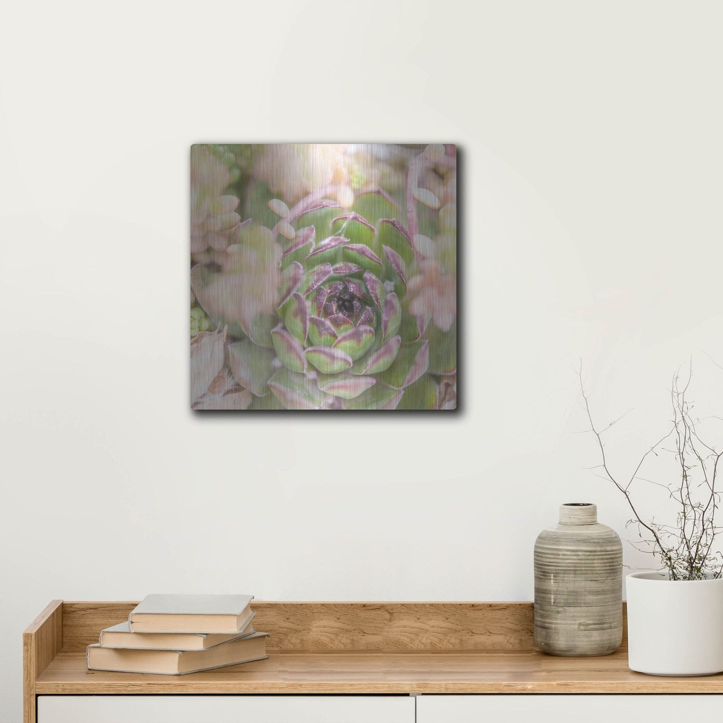 Luxe Metal Art 'Succulents 08' by Lightbox Journal, Metal Wall Art,12x12