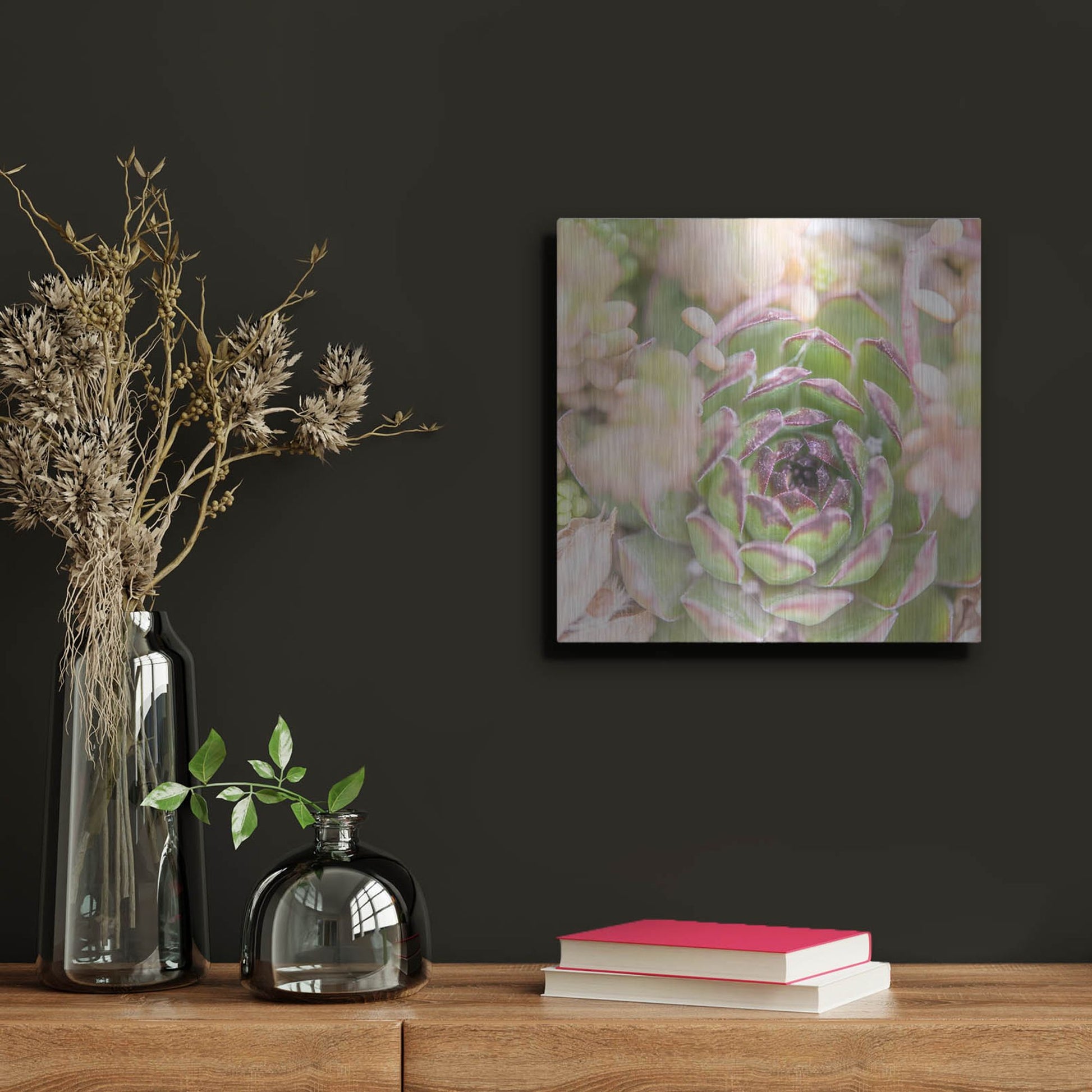 Luxe Metal Art 'Succulents 08' by Lightbox Journal, Metal Wall Art,12x12