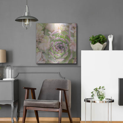 Luxe Metal Art 'Succulents 08' by Lightbox Journal, Metal Wall Art,24x24