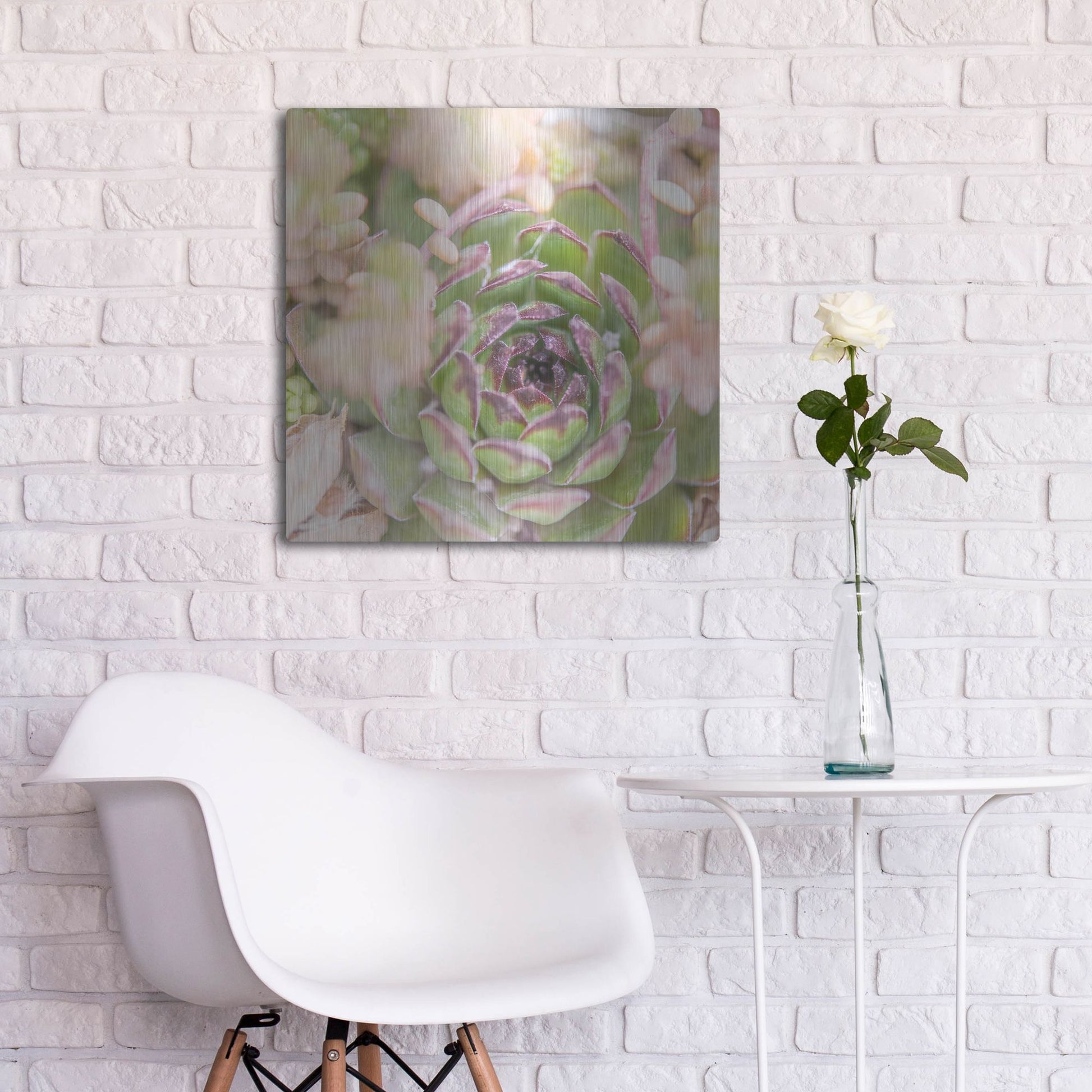 Luxe Metal Art 'Succulents 08' by Lightbox Journal, Metal Wall Art,24x24