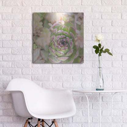 Luxe Metal Art 'Succulents 08' by Lightbox Journal, Metal Wall Art,24x24