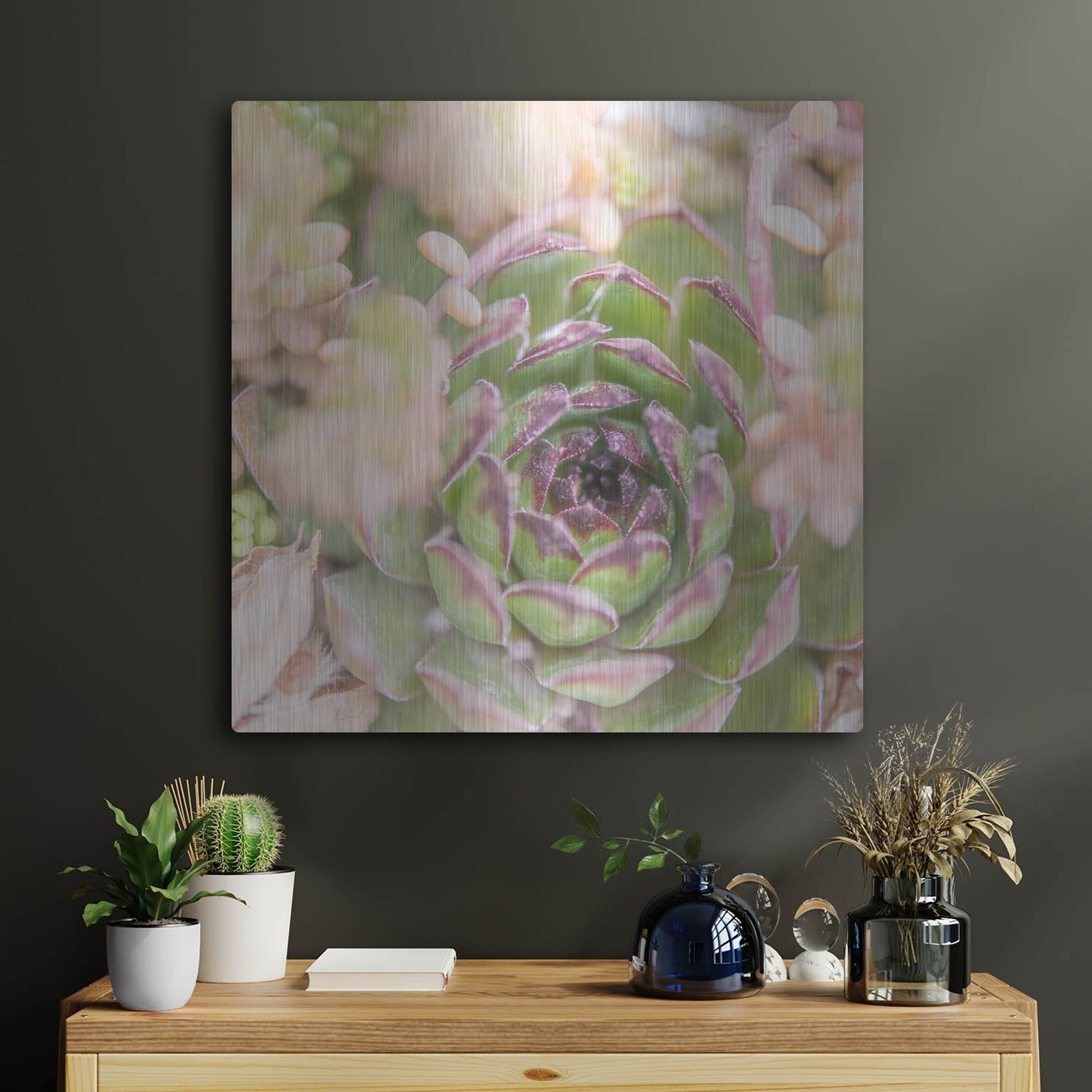 Luxe Metal Art 'Succulents 08' by Lightbox Journal, Metal Wall Art,24x24