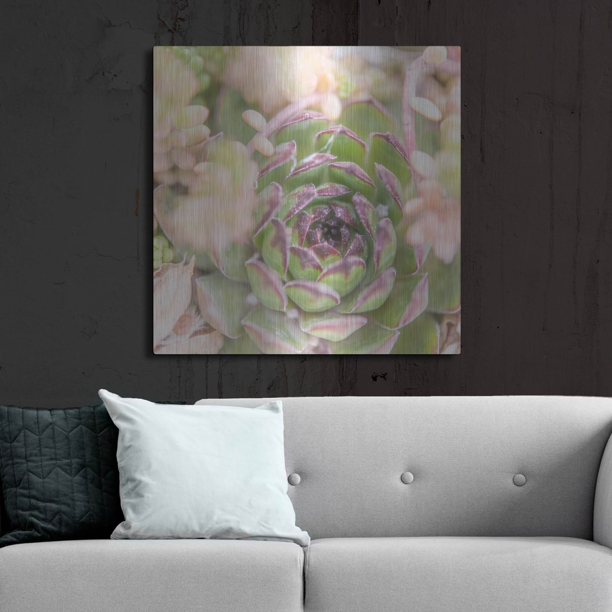 Luxe Metal Art 'Succulents 08' by Lightbox Journal, Metal Wall Art,36x36