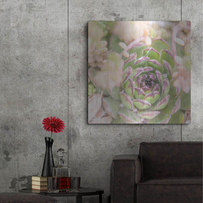 Luxe Metal Art 'Succulents 08' by Lightbox Journal, Metal Wall Art,36x36