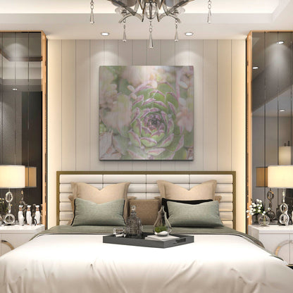 Luxe Metal Art 'Succulents 08' by Lightbox Journal, Metal Wall Art,36x36