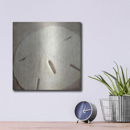 Luxe Metal Art 'Under the Sea 02' by Lightbox Journal, Metal Wall Art,12x12