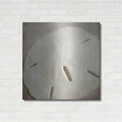 Luxe Metal Art 'Under the Sea 02' by Lightbox Journal, Metal Wall Art,36x36